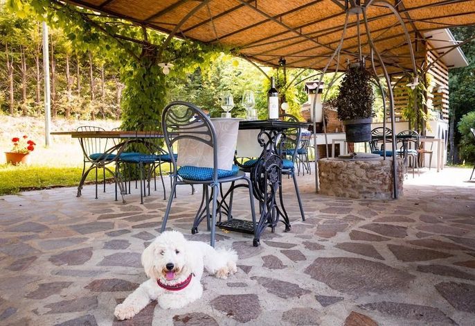 Bild 170