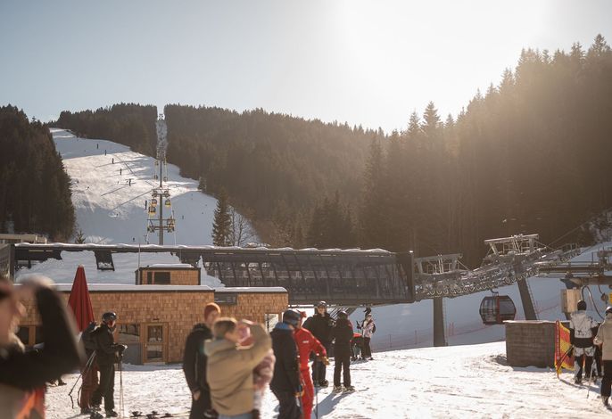 Bild 15