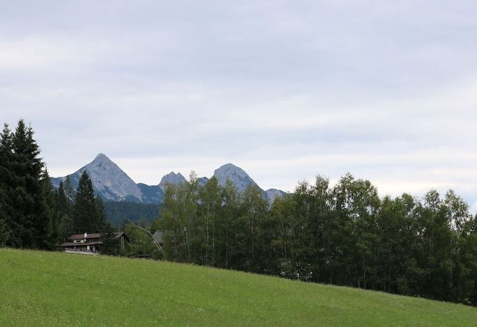 Bild 67