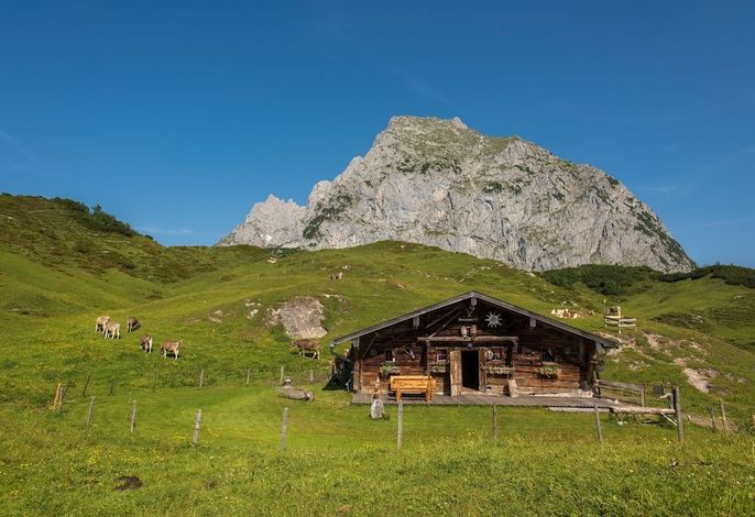 Bild 14