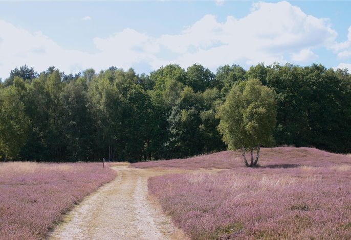Bild 99