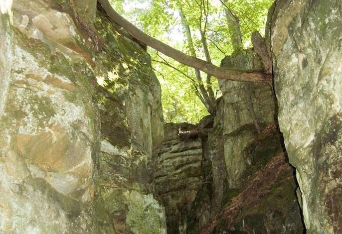 Bild 21