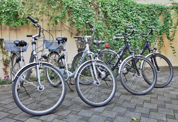 Bild 7