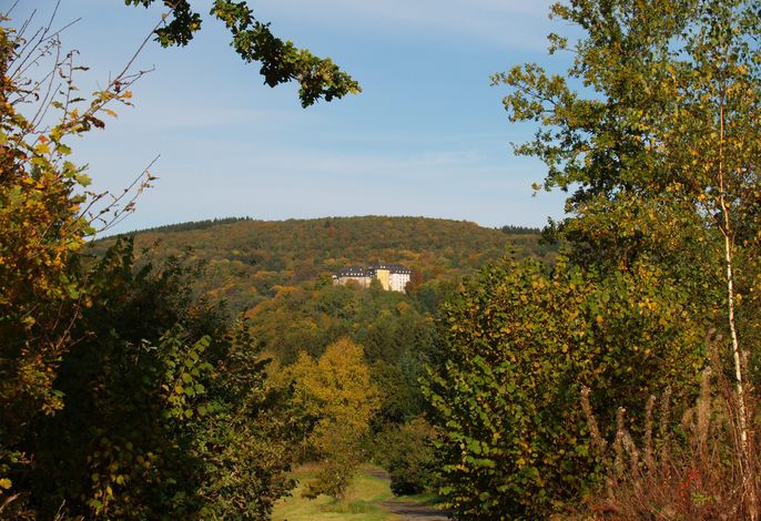Bild 16