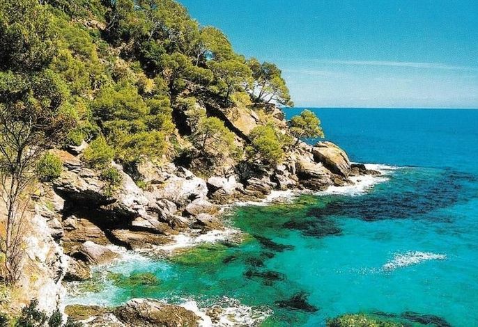 Bild 42