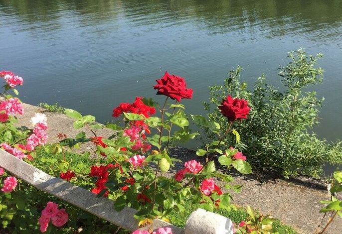 Bild 47