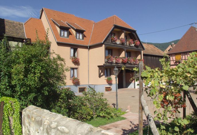 Bild 15