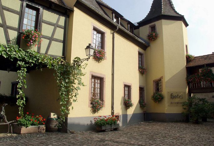 Bild 12