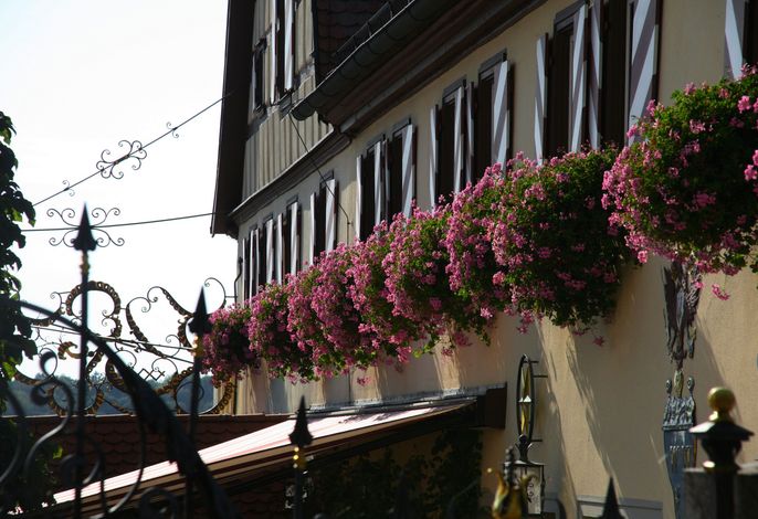 Bild 17