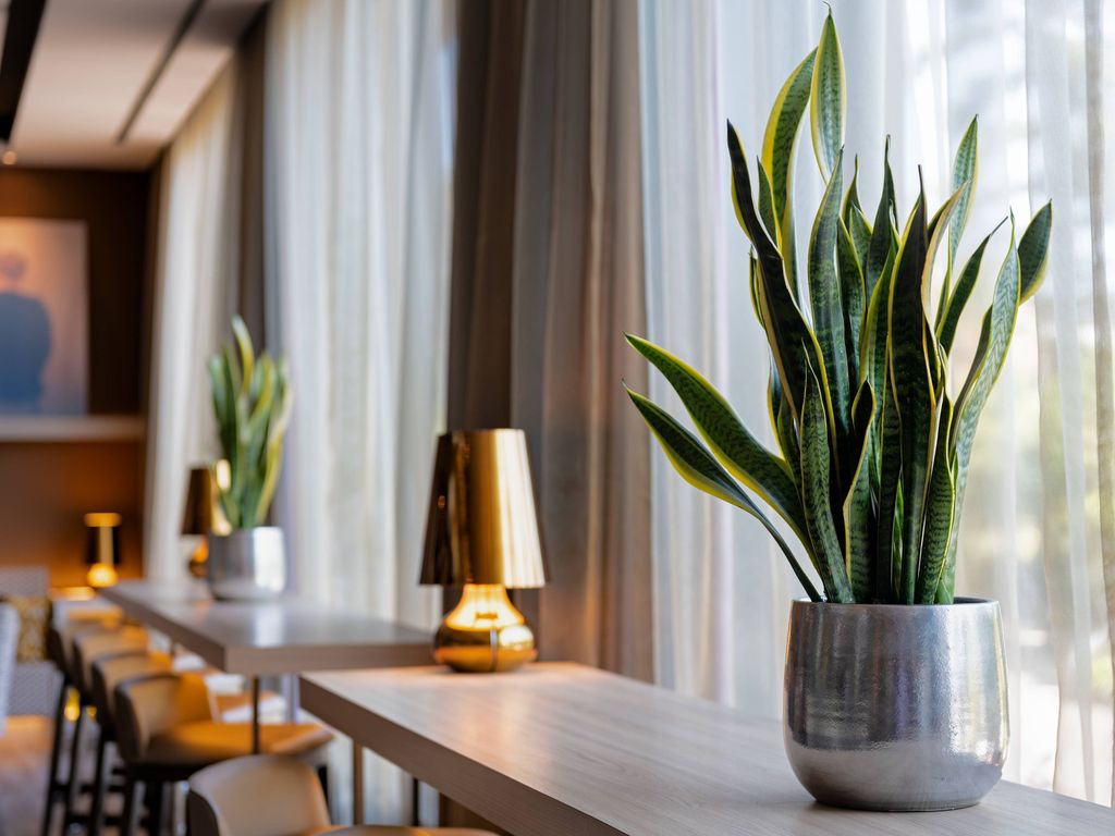 AC Hotels by Marriott Hotel Malaga Palacio