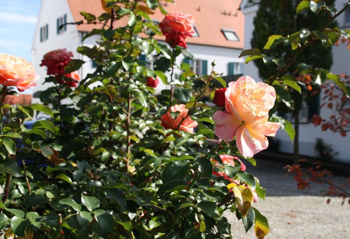 Bild 16