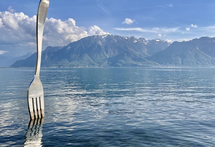 Bild 76