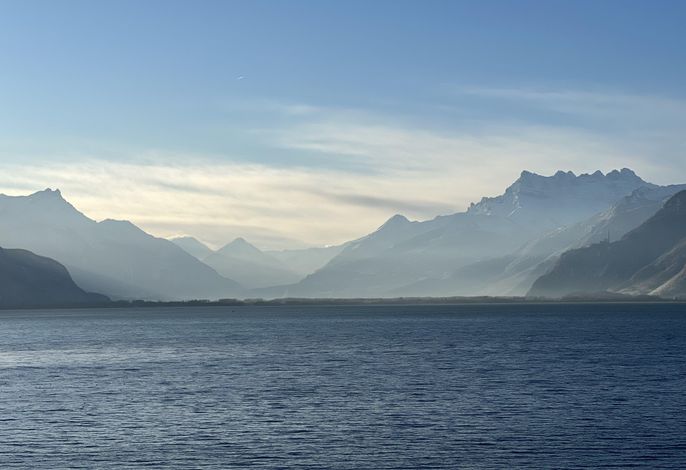 Bild 38