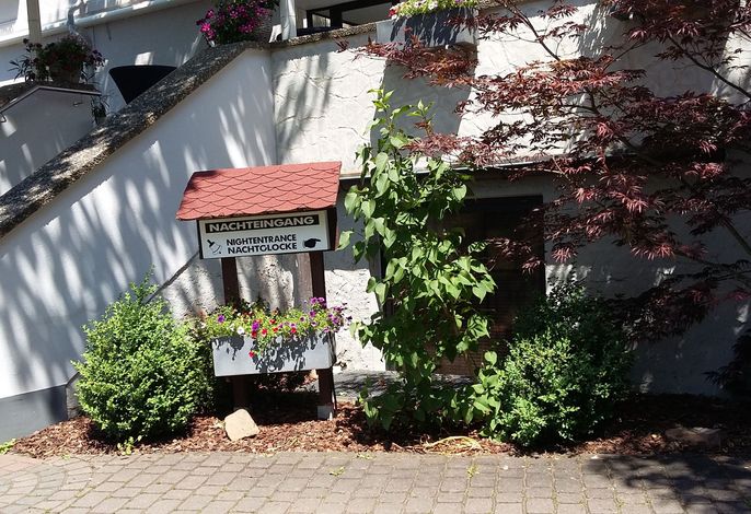 Bild 17