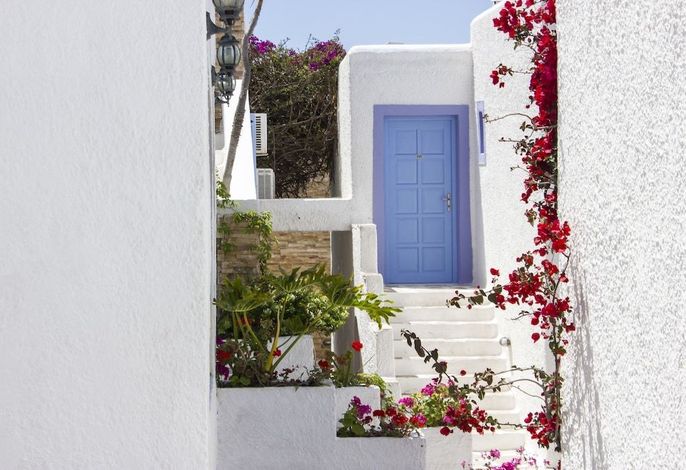 Bild 64
