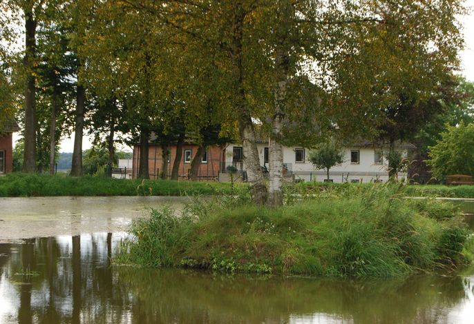 Bild 18
