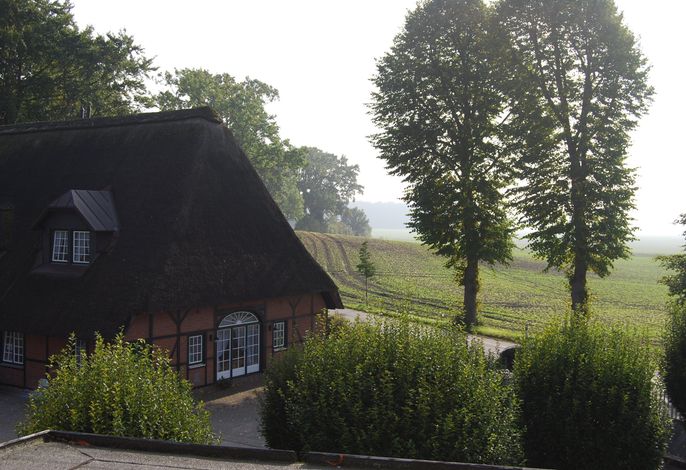 Bild 25