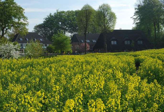 Bild 36