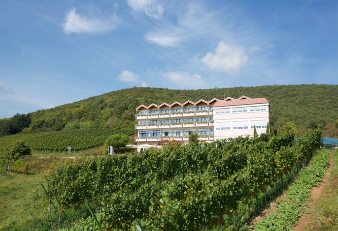 Bild 13