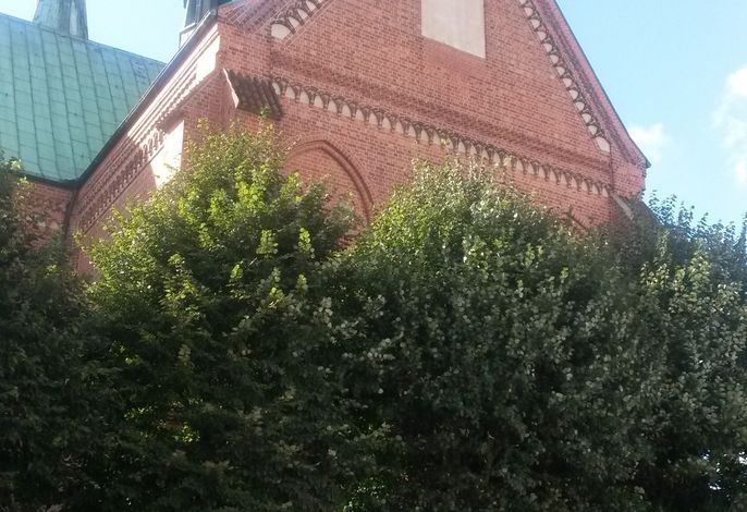 Bild 14