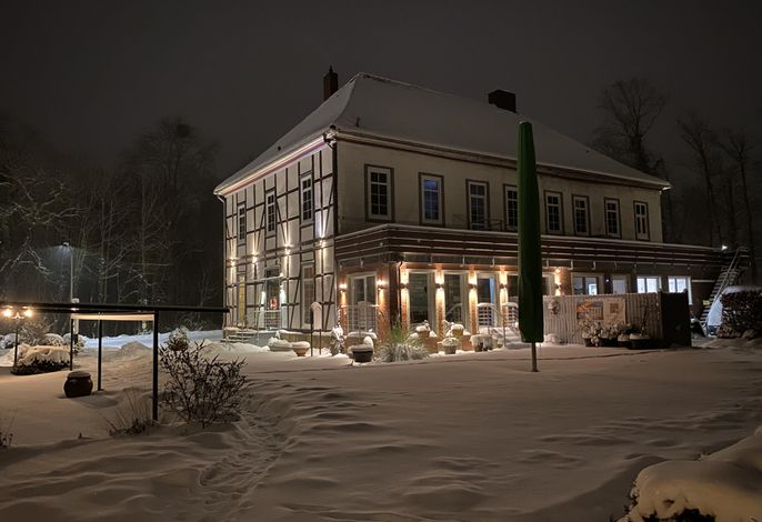 Bild 12