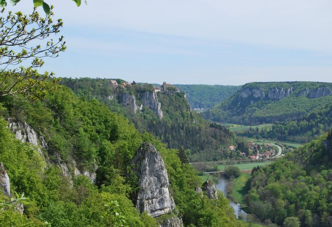 Bild 9