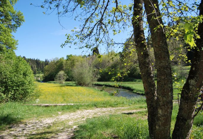 Bild 13