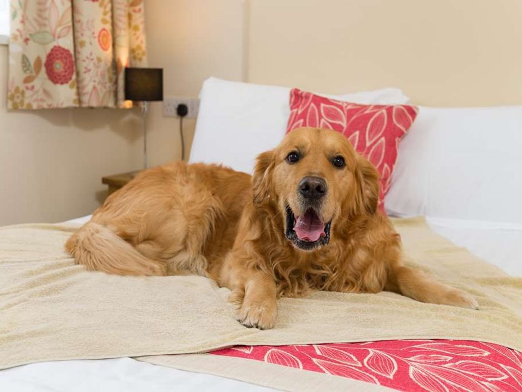 Best Western Fowey Valley