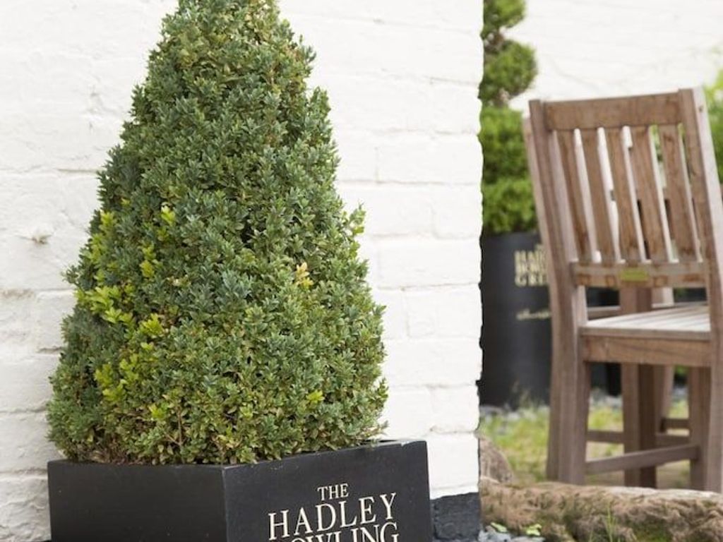 Hadley Bowling Green Inn