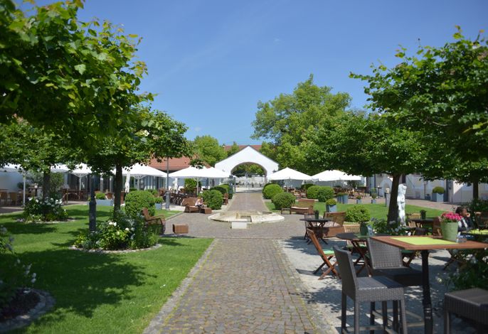 Bild 15