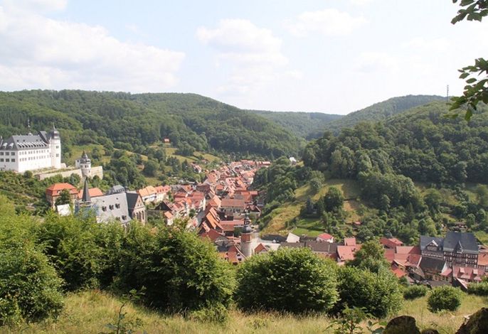 Bild 9