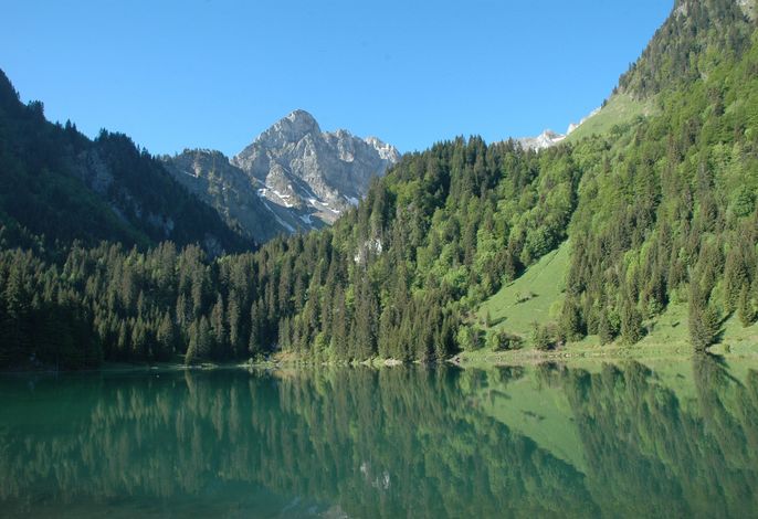 Bild 44