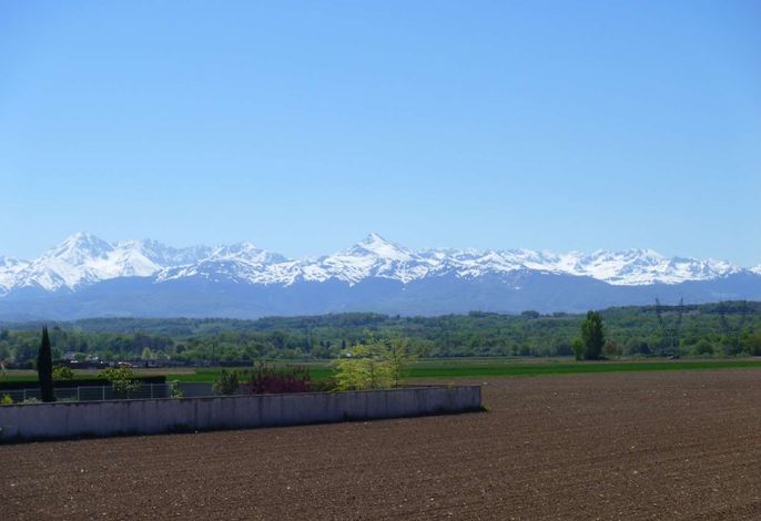Bild 65