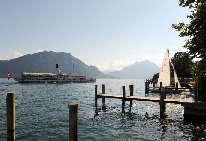 Bild 11