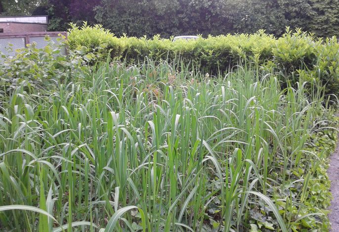 Bild 12