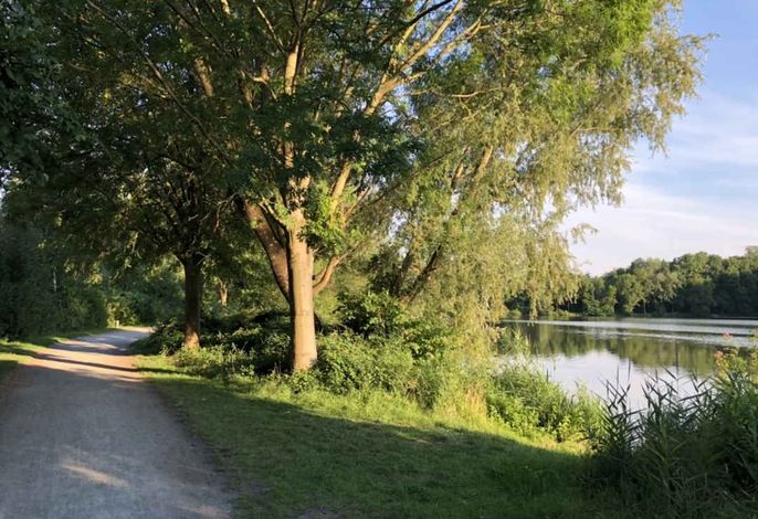 Bild 17