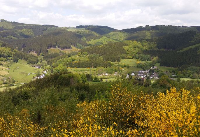 Bild 13