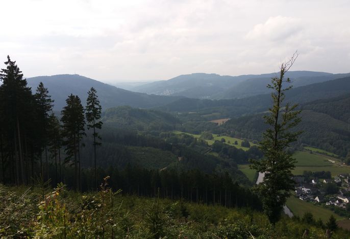 Bild 14