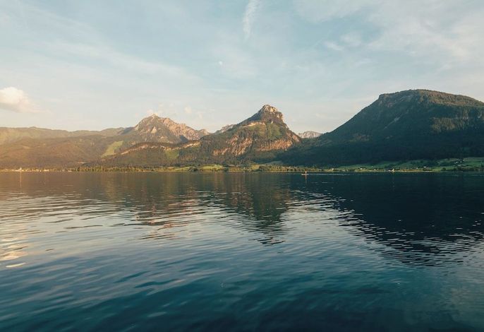 Bild 56