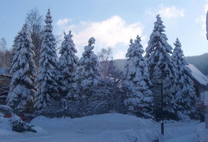 Bild 14