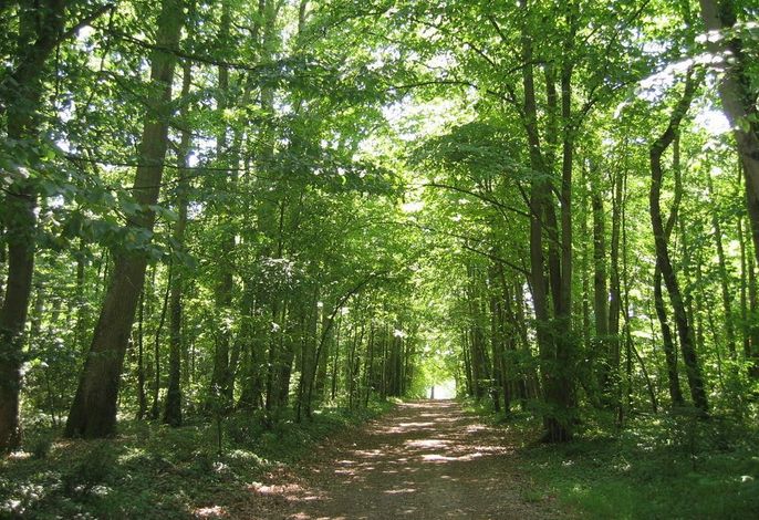 Bild 33