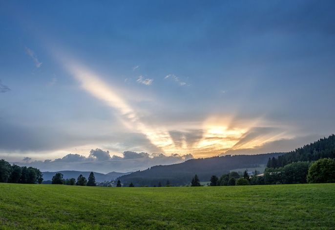 Bild 93