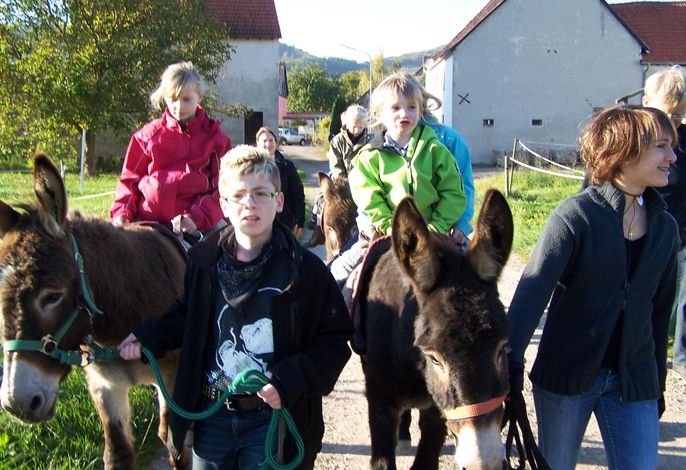 Bild 45