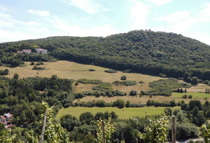 Bild 12