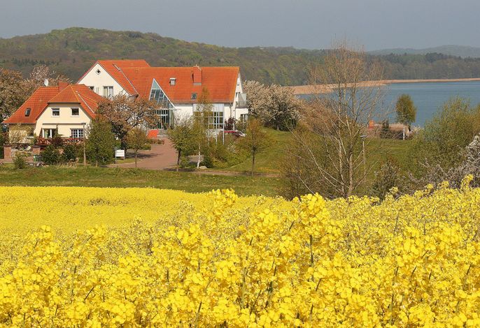 Bild 9