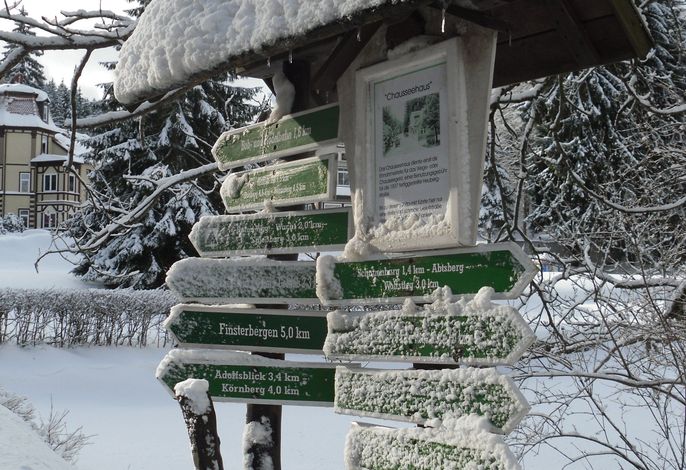Bild 16