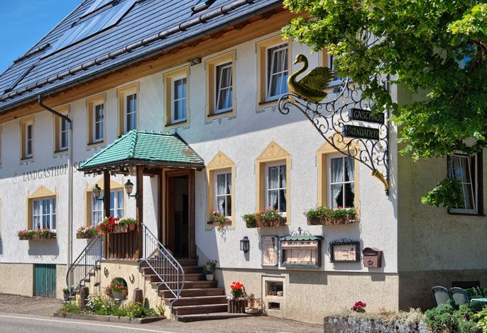 Bild 14