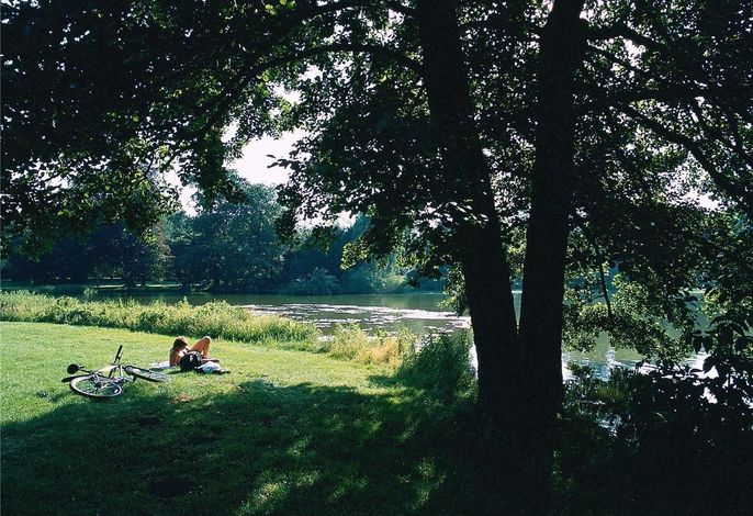 Bild 68