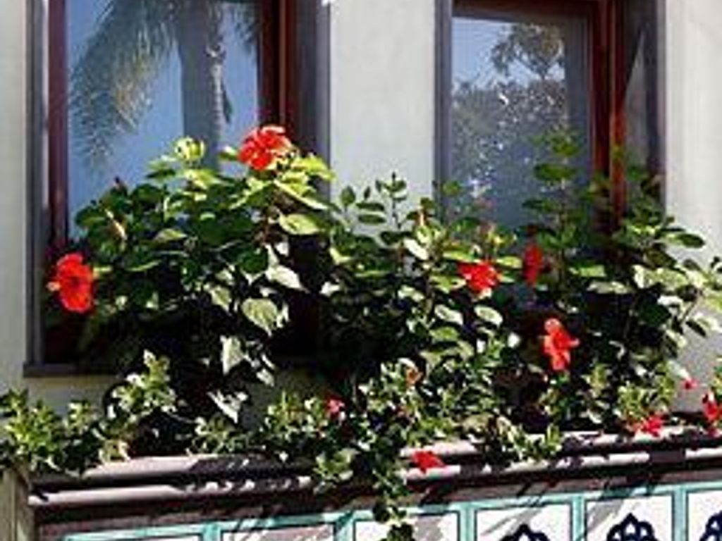 Gardenia Sorrento Coast Ascend Hotel Collection