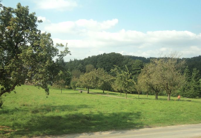 Bild 8